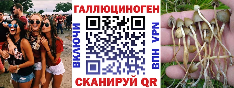 Галлюциногенные грибы ЛСД  наркошоп  Белая Калитва 