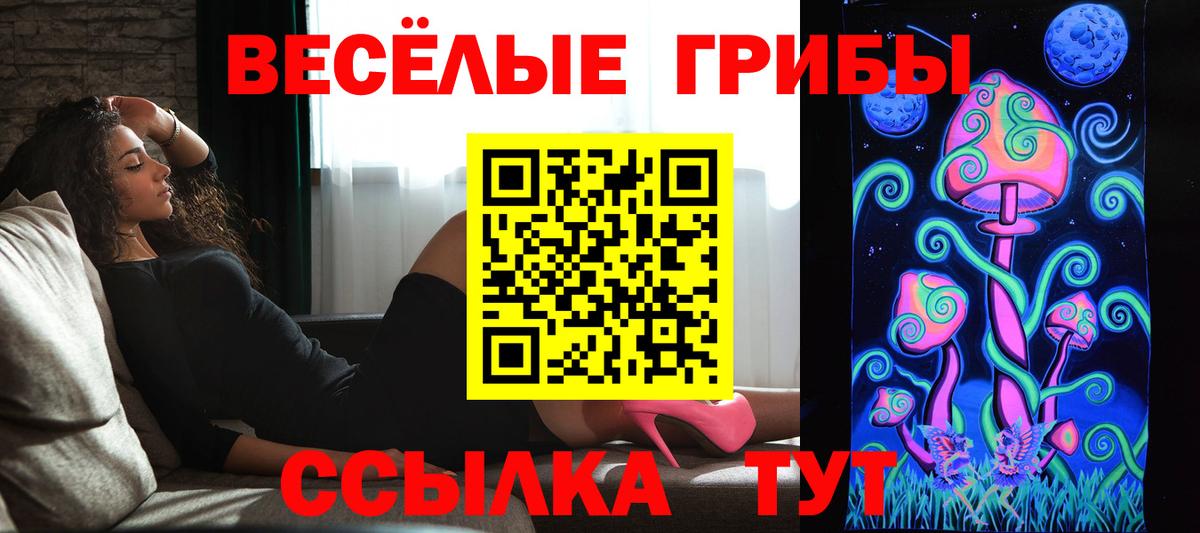 Псилоцибиновые грибы прущие грибы Белая Калитва